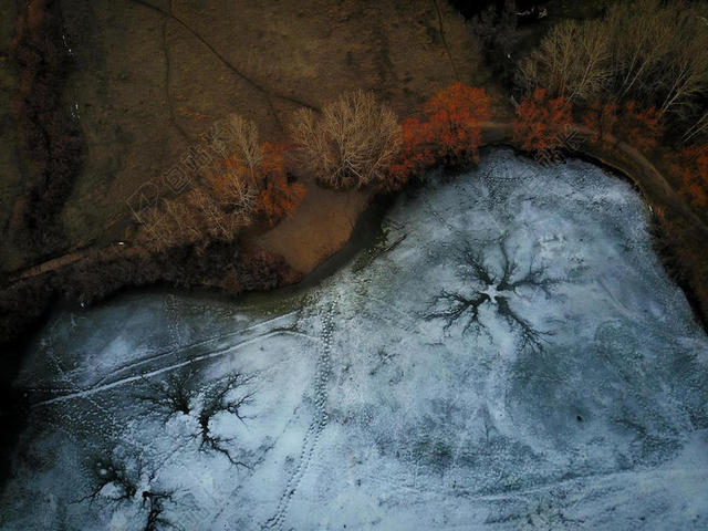 摄影纹理丛林间的水不规则结冰背景图片