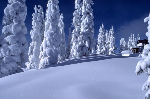 旅游自然雪山上的雪景背景图片