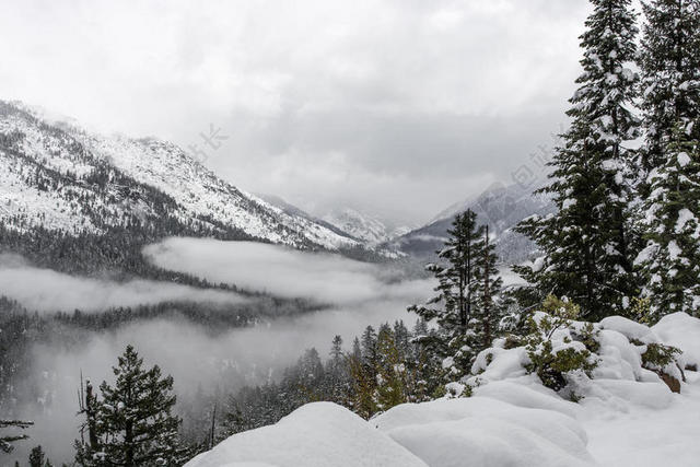 黑白自然朦胧冬季山林雪景户外自然背景图片