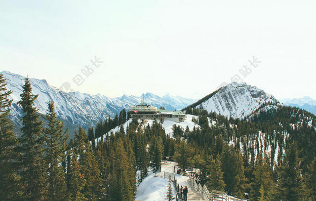 自然开阔蓝天下的雪山和树林自然旅游山野背景图片