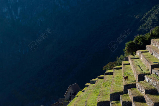 绿色建筑绿色有苔藓的石阶背景图片