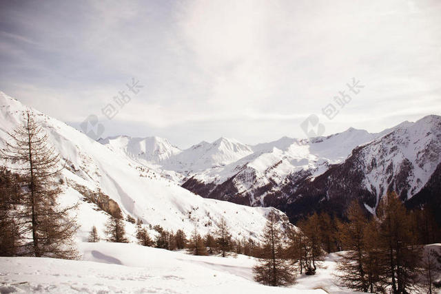 白黄自然蓝天下的雪山和树林雪景自然背景图片