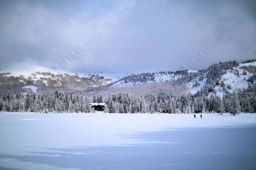 白色自然清秀蓝天下的雪山树林旅游雪景背景图片
