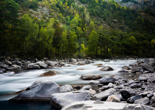 自然清澈树林湖水自然山水背景图片