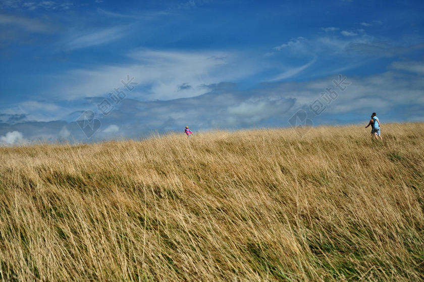 黄褐色旅游自然杂草地农村背景图片