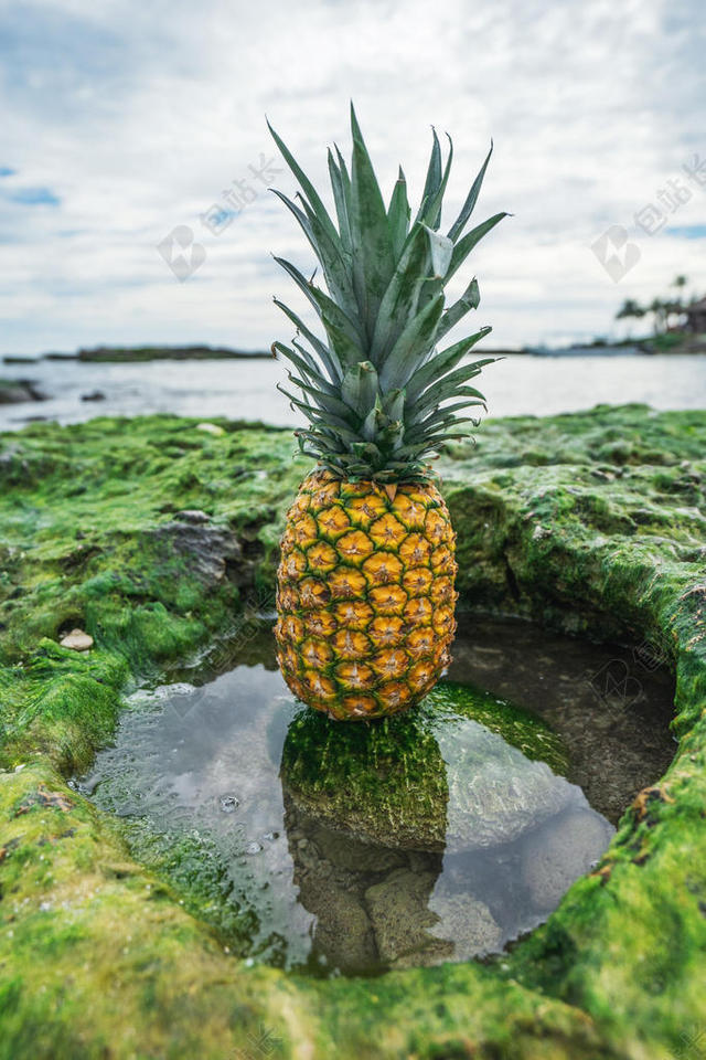 广告清新菠萝倒影背景图片