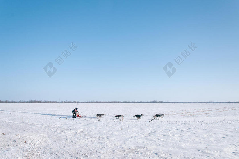 蓝白雪景清新蓝天下的雪地上雪橇雪景户外背景图片
