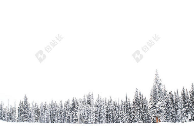 白色自然清新冬季积雪山林和雪地自然山野背景图片