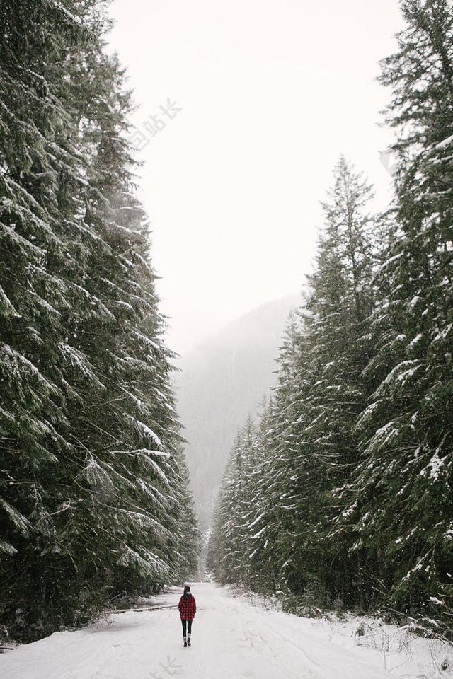冬天雪地里的行人背景图片