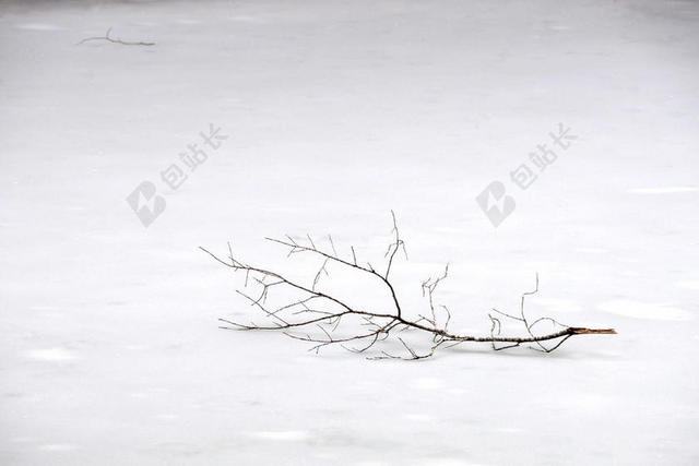 黑白雪景冷清雪地上的树枝雪景冬季背景图片