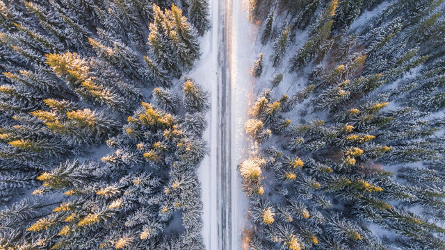 雪林里的马路背景图片