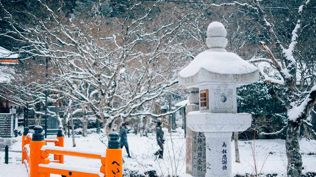彩色雪景美丽积雪大树雪地雪景户外背景图片