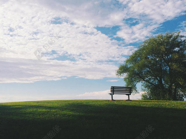 自然风景绿地上的大树和长凳背景图片