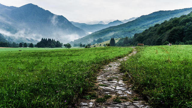 绿色草地上的小道背景图片