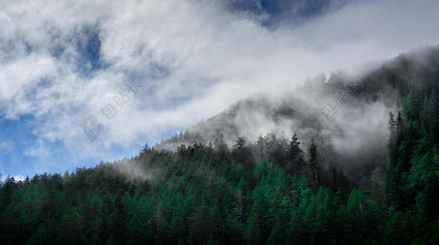白绿自然飘渺蓝天云雾下的树林自然景点背景图片