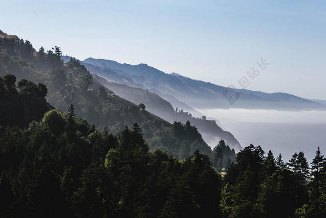 绿白自然层次蓝天下的树林云海自然景点背景图片