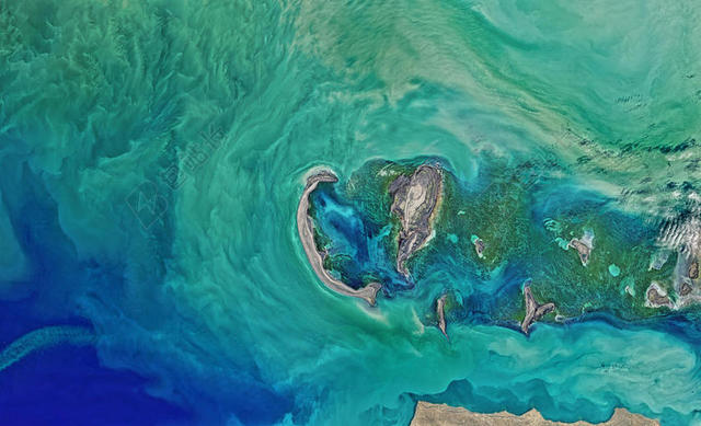 海 海水 大海
