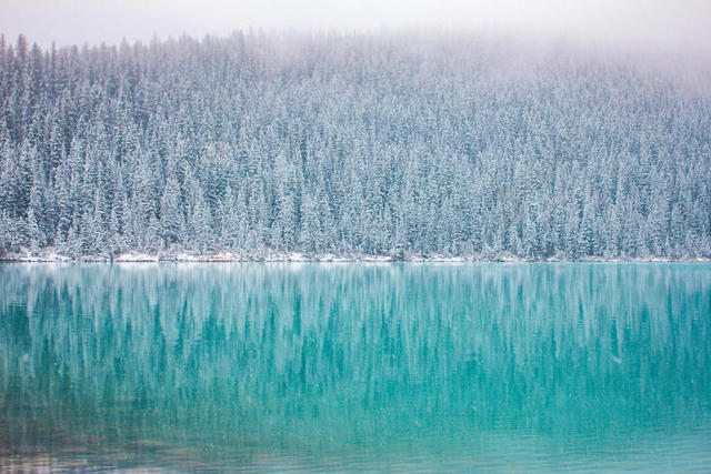 蓝色的湖泊和雪林背景图片