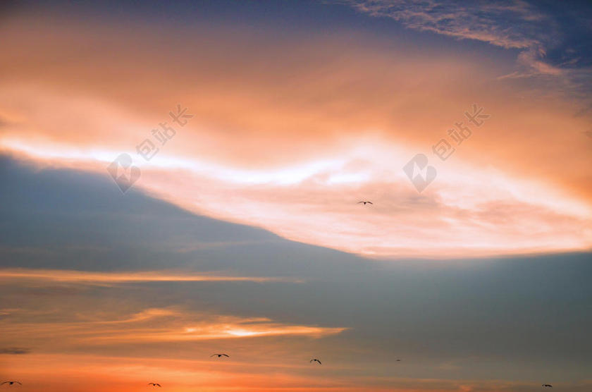 禽 美丽的 鸟 云 黎明 戏剧性的 黄昏 环境 自由 田园 自然 在户外 风景 风景 天空 日出 日落