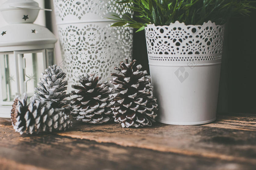背景 模糊 特写 装饰品 装饰 设计 集中 松果 植物 锅 复古的 乡村的 桌子 花瓶 酿造的 木材 木制的