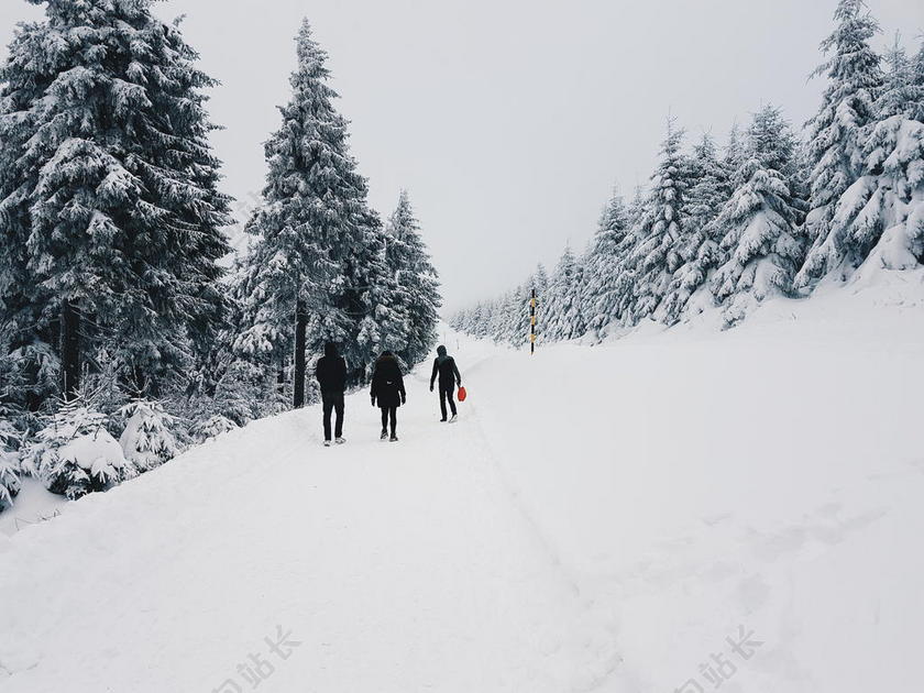 冒险 寒冷的 针叶树 日光 常绿 森林 冰冻的 朋友 霜 冷冻 冰川 高的 徒步旅行 小山 冰 景观 山 自然 在户外 求助 风景 季节 滑雪 滑雪 求助 滑雪者 雪 暴风雪 下雪的 轨道 旅行 树 天气 冬天 冬天 景观
