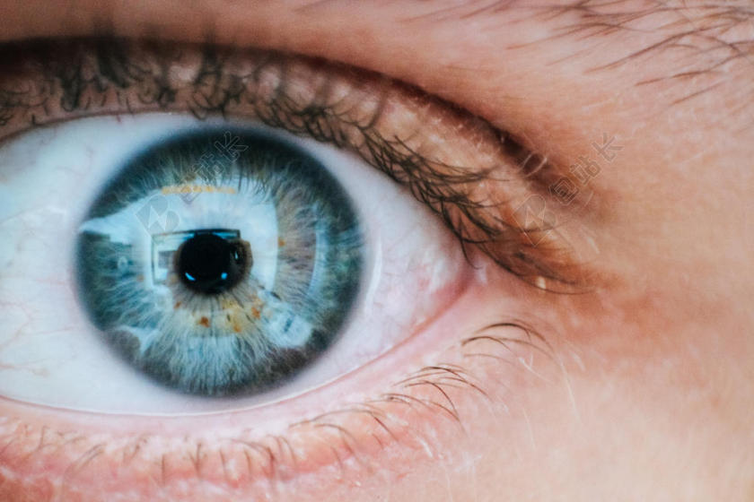 蓝色 关闭 - 眼睛 眼球 眉 睫毛 视力 头发 人类 人 景象 皮肤 视野 女人