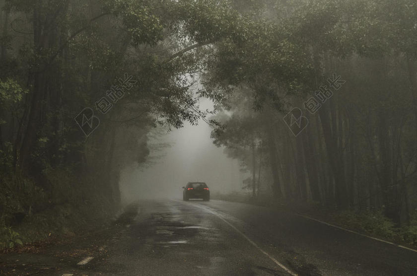 博斯克 汽车 汽车 灯 寒冷的 乡村 黑暗的 黎明 日光 环境 领域 雾 雾 森林 景观 光 薄雾 朦胧 神秘的 在户外 路 吓人的 轮廓 运输 系统 旅行 树 车辆 天气 木材 伍兹