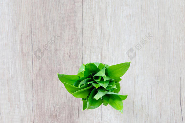 芳香的 背景 板 明亮的 束 烹饪 美味的 食物 新鲜的 新鲜 绿色 硬木 健康的 草本植物 中草药 成分 叶 自然的 有营养的 有机的 植物 复古的 粗糙的 乡村的 调料品 香料 春天 桌子 顶部 看法 蔬菜 素食主义者 墙 壁纸
