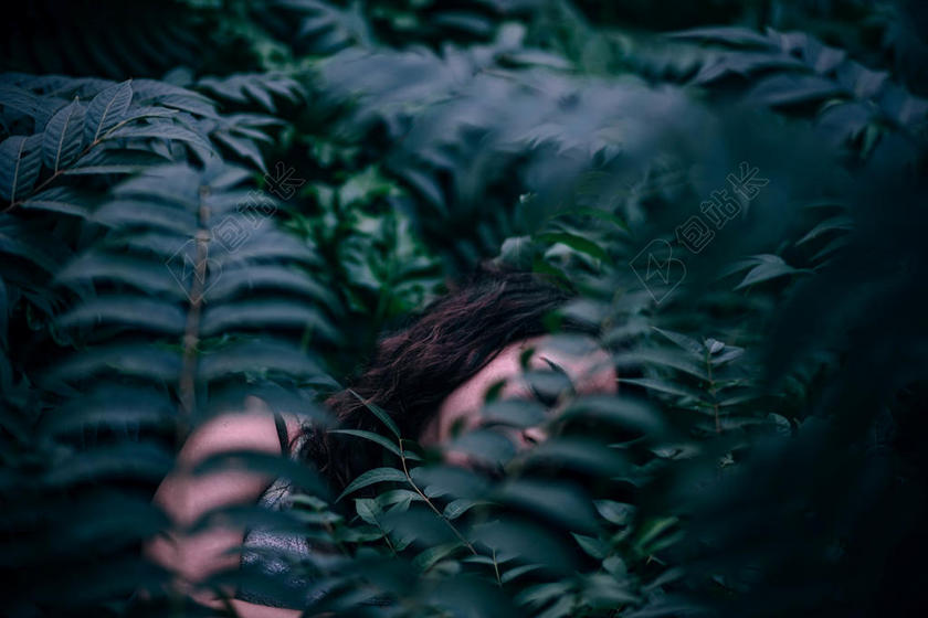 艺术 艺术品 美丽的 美女 模糊 魅力 颜色 概念的 分隔开的 黑暗的 梦想 环境 异国情调的 面对 仙女 仙女 故事 幻想 时尚 女性的 蕨类植物 森林 女孩 魅力 绿色 和谐 健康的 叶 光 模型 多色 神秘的 神秘的 自然的 在户外