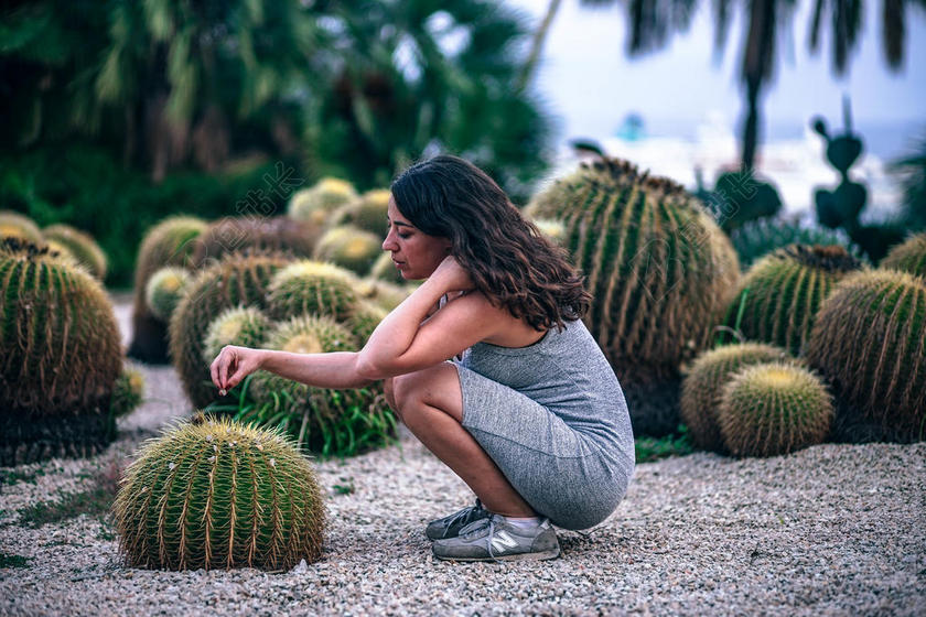 巴塞罗那 美丽的 模糊 植物学的 黑发 仙人掌 仙人掌 沙漠 黄昏 环境 异国情调的 植物区系 花 女孩 绿色 成长 生长 田园 景观 自然的 自然 在户外 人 植物 刺 岩石 沙 性感 锋利的 苗条的 穗状花序 刺 石头 多汁的 夏天 TRE