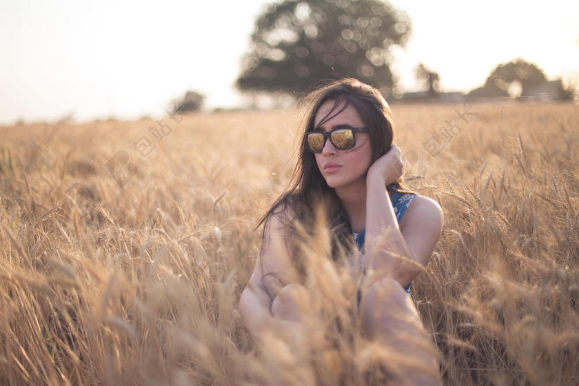 乡村 领域 草 田园 模型 自然 拍摄 姿势 姿势 农村的 风景 太阳镜 宁静 树 小麦 领域 女人