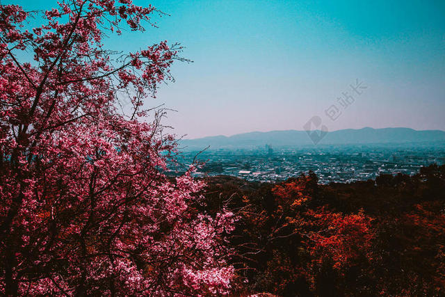 秋天 秋天 颜色 平静的 樱桃 花 城市 城市景观 环境 田园 叶 山 自然 安静的 风景 风景 天空 宁静 树 看法 王室成员 自由的 图像