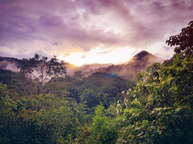 云 黎明 日光 黄昏 环境 傍晚 雾 景观 光 薄雾 山 自然 在户外 雨林 风景 天空 夏天 日落 旅行 树