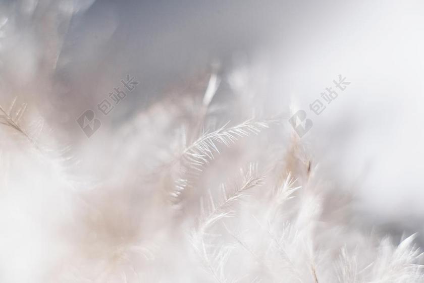 商务 商人 电子商务 股票交易所 业务 工作 地球 泥土 草地 操场 纹理 组织 材料 花纹 灯光 光线 激光 打火机 空白 留白 云 云朵 天空