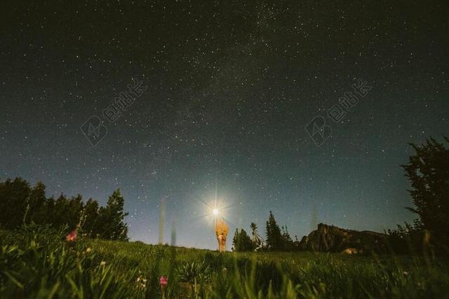 工作中 工作 办公室 会议 职场 星空 星星 闪光 明星 夜晚 晚上 黑夜 黑暗 灯光 霓虹灯  风景 风光 美景 田园 山水      农场 农田 庄园 房子 房间 住宅 幸福 快乐 高兴 家庭 甜蜜 天空 草地 草坪 草丛 自然 环境 动物 空白 留白 工作 职业 职场 商务 男士 男性 男人