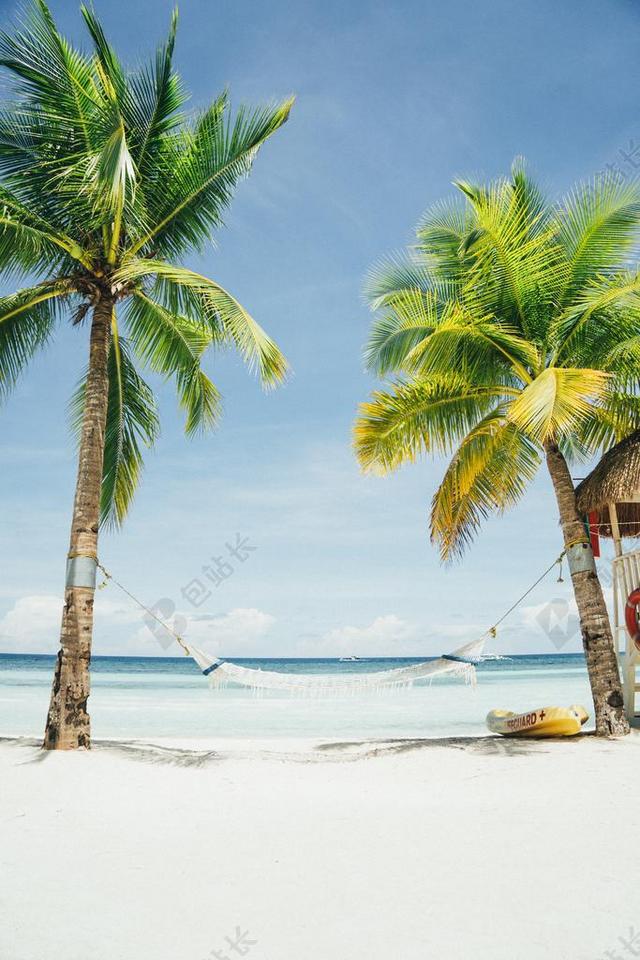 蓝白自然清新蓝天下海滩上的椰子树和吊床休闲娱乐大海旅游自然背景图片