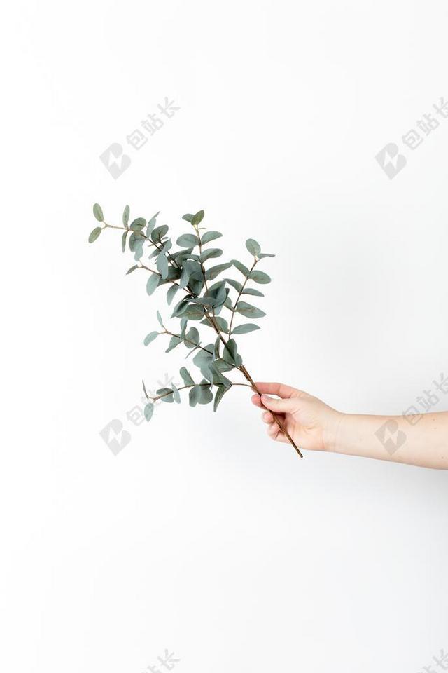 绿黄手势简单拿着一根树枝手势简单背景图片