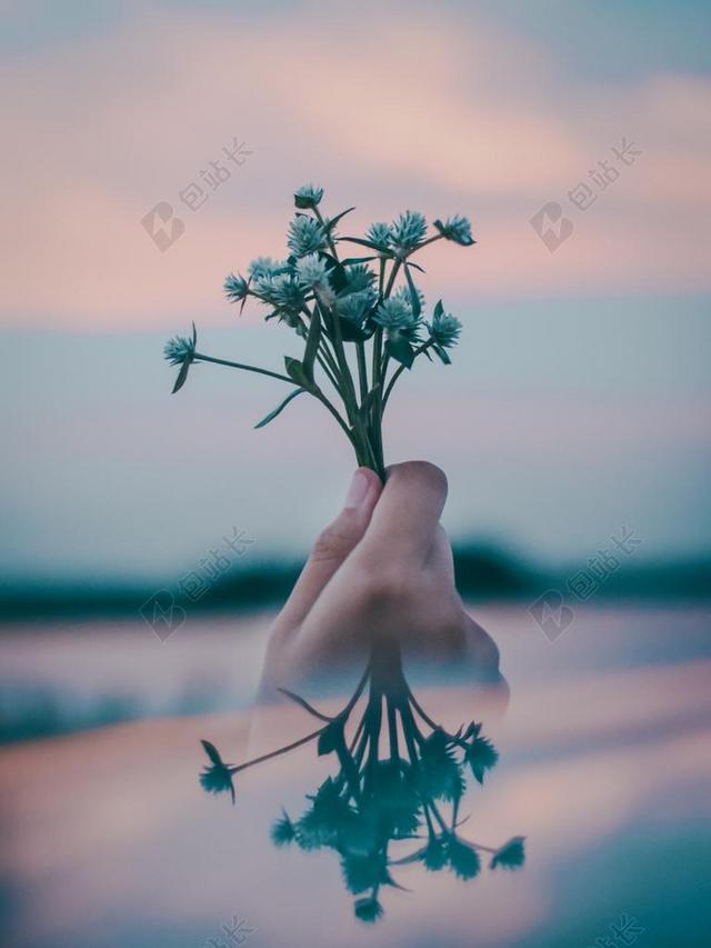 手 手势 握手 击掌 胜利 花 玫瑰 美丽 花朵 日落 夕阳 太阳 天空 自然 环境 清新 新鲜 雨 下雨 惬意