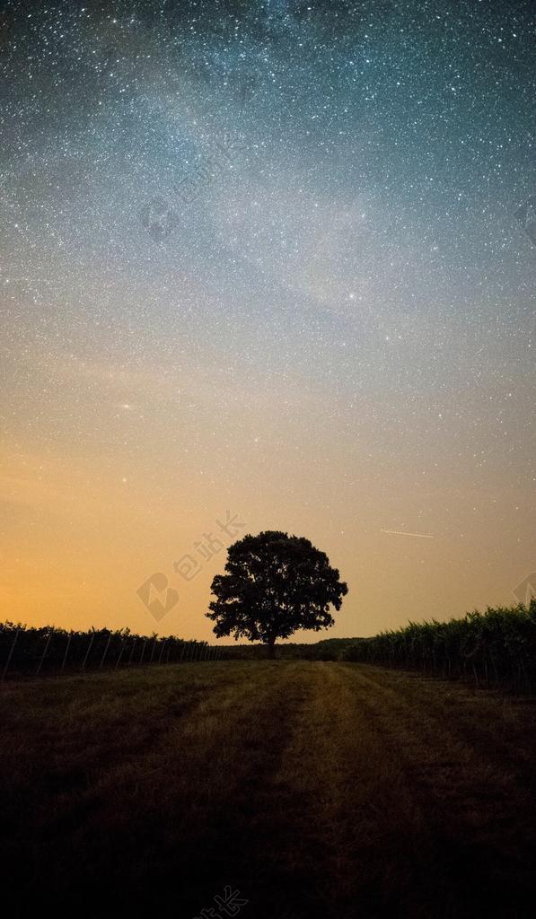 星空 太空 空间  星空 星星 闪光 明星 夜晚 晚上 黑夜 黑暗 灯光 霓虹灯   风景 风光 美景 田园 山水 日落 夕阳 太阳 天空 树木 丛林 森林 树 树木 树林 森林
