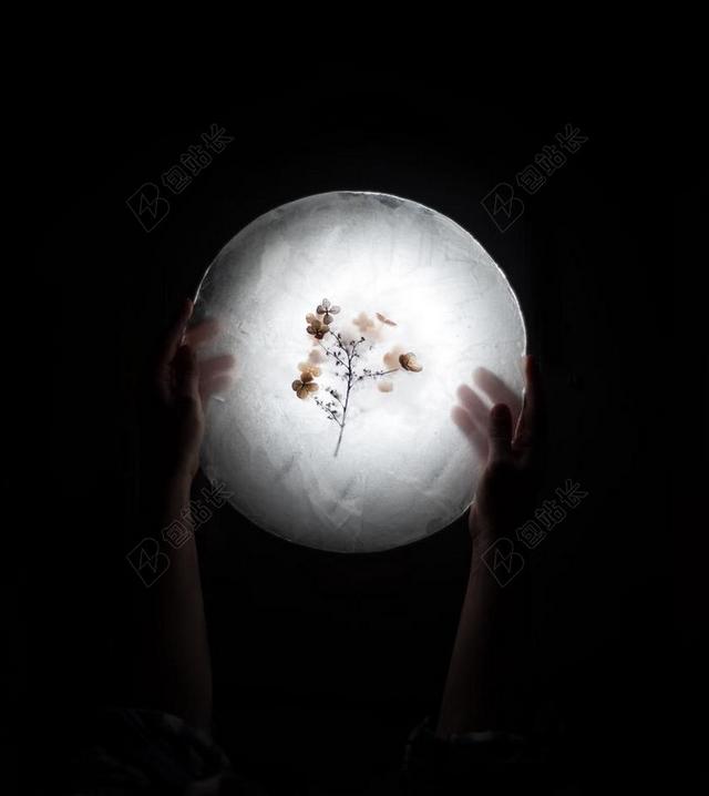 手 手势 握手 击掌 胜利  花 玫瑰 美丽 花朵  丽人 优雅 美丽 漂亮 女孩 女人 女性 灯光 光线 激光 打火机 冬季 冬天 新年 书 书籍 阅读  自然 环境 雨 下雨 惬意