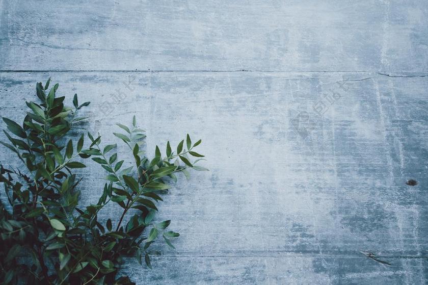 太空 空间 纹理 组织 材料 花纹 房间 卧室 家 休闲 家居 美食 食品 餐饮 饮料 喝酒 饮水