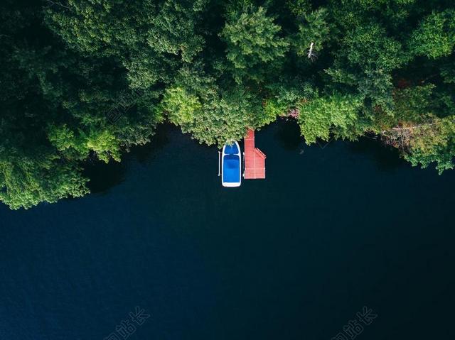 绿色的森林和湖泊背景图片