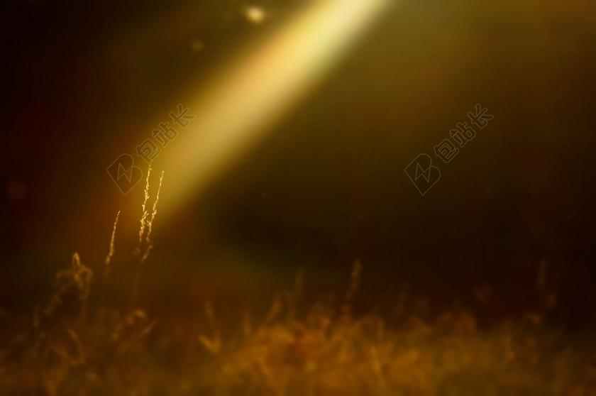 星空 太空 空间  风景 风光 美景 田园 山水   丽人 优雅 美丽 漂亮 女孩 女人 女性 灯光 光线 激光 打火机 纹理 组织 材料 花纹  爱情 恋爱 恋人 情人 情侣 浪漫 花园 园林 园艺 植物 花 自在 舒适 安逸 合适 自然 环境 可爱的