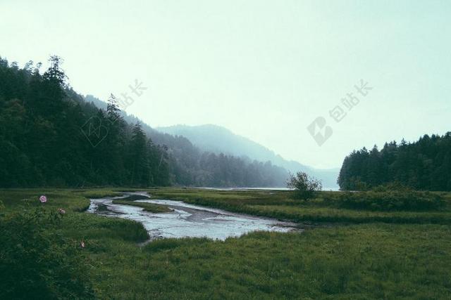 风景 风光 美景 田园 山水 花 玫瑰 美丽 花朵 草地 草坪 草丛 天空 自然 环境  云 云朵 天空 雨 下雨 惬意 树 树木 树林 森林