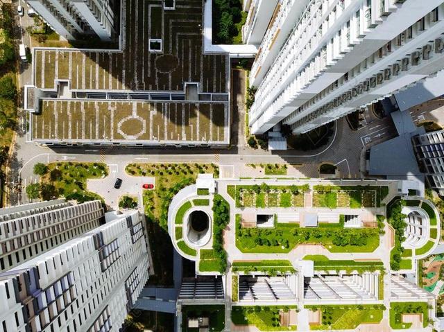 建筑 大厦 建筑物 建设 城市 都市 时尚 现代化 风景 风光 美景 田园 山水 花园 园林 园艺 植物 花 草地 草坪 草丛 树木 丛林 森林 树 树木 树林 森林 建筑 结构 建筑物 建筑学