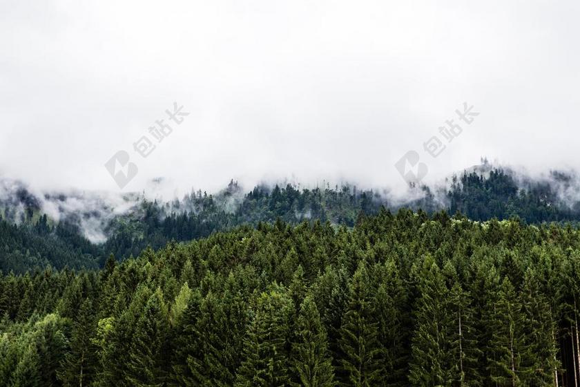 风景 风光 美景 田园 山水 山 山峰 顶峰 景色  树木 丛林 森林 自然 环境  云 云朵 天空 树 树木 树林 森林