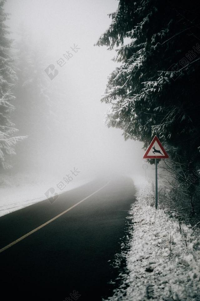 风景 风光 美景 田园 山水 道路 旅途 路途 户外 街道 公路   丽人 优雅 美丽 漂亮 女孩 女人 女性 山 山峰 顶峰 景色 冬季 冬天 新年 放松 休闲  厅  树木 丛林 森林 树 树木 树林 森林  黑色 暗色 黑白 昏暗