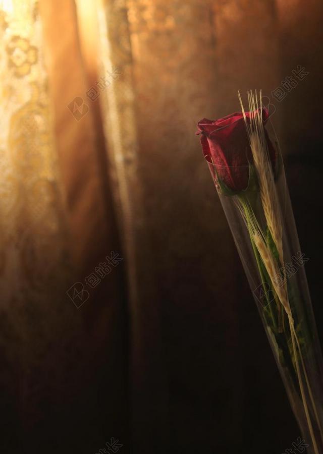 花 玫瑰 美丽 花朵 灯光 光线 激光 打火机 婚礼 喜庆 庆祝 节日 婚姻 爱人 恋人 情侣  爱情 恋爱 恋人 情人 情侣 浪漫 房子 房间 住宅 幸福 快乐 高兴 家庭 甜蜜  肖像 人物特写 画像 母亲 母爱 全身像 可爱的