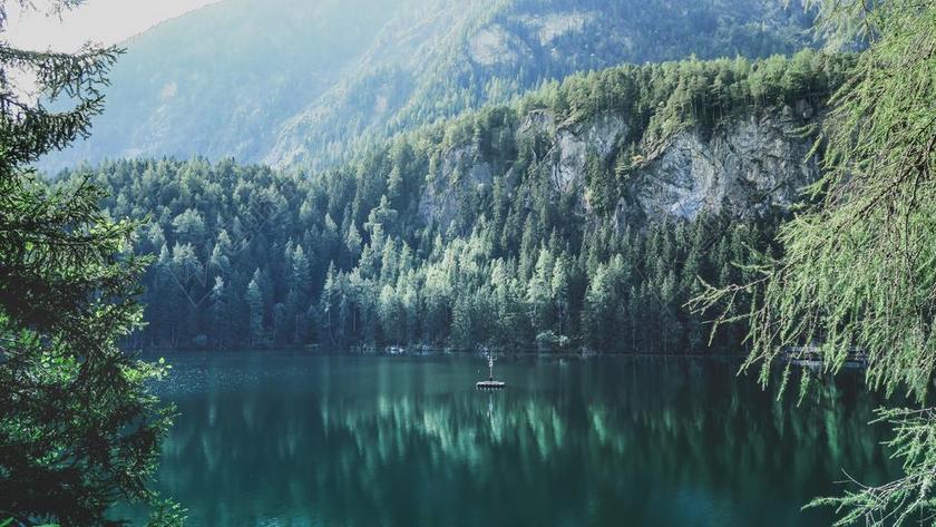 风景 风光 美景 田园 山水  美女 丽人 优雅 美丽 漂亮 女孩 女人 女性 冒险 探险 远足 度假 旅游 休闲 挑战 极限运动 旅行 旅游 行程 度假 休闲 度假 假日 树木 丛林 森林 自然 环境 树 树木 树林 森林