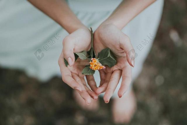 花 玫瑰 美丽 花朵  丽人 优雅 美丽 漂亮 女孩 女人 女性 地球 泥土 草地 操场 复古 酿酒 古典 收获 女孩 少女 姑娘 美丽 女性 女士 美丽 女人 一个女人